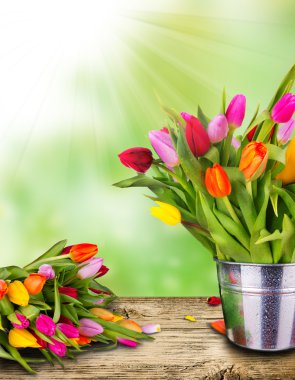 Spring still life clipart