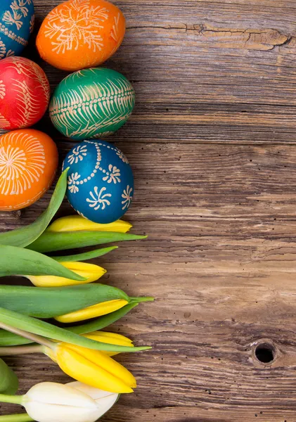 Easter tulips — Stock Photo, Image