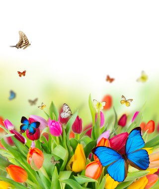 Spring bouquet clipart