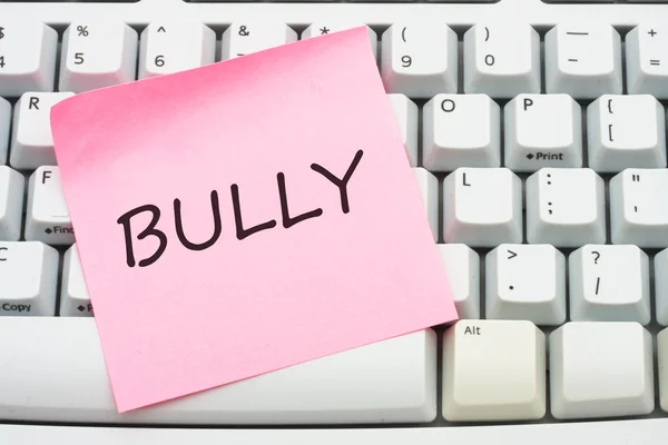 Internet bullying — Stock Photo, Image