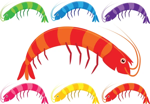 Vector cartoon prawns or shrimp in a variety of bright colours on a white background. — Stock Vector