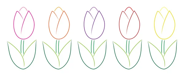 Tulipanes dibujados a mano en formato vector . — Archivo Imágenes Vectoriales