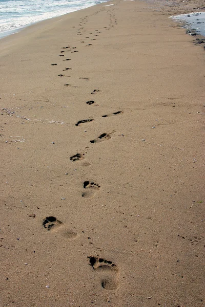 Footprint on sands — Stock Photo, Image