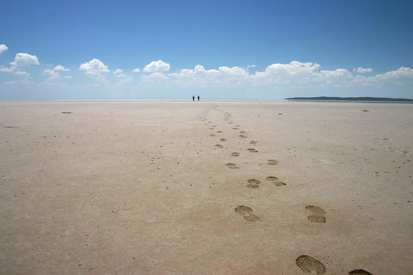 Stock image Salt lake trek