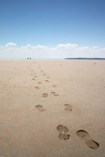 stock image Salt lake trek