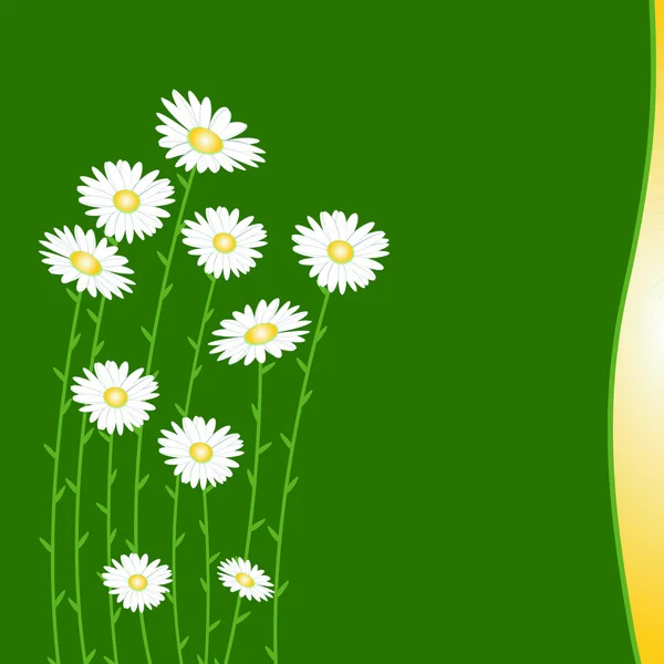Bloem achtergrond met daisy — Stockvector