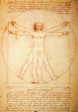 Vitruvian Man clipart