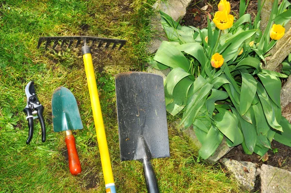 Εργαλεία κήπου — Φωτογραφία Αρχείου