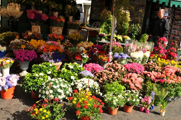 Blomsteraffär — Stockfoto