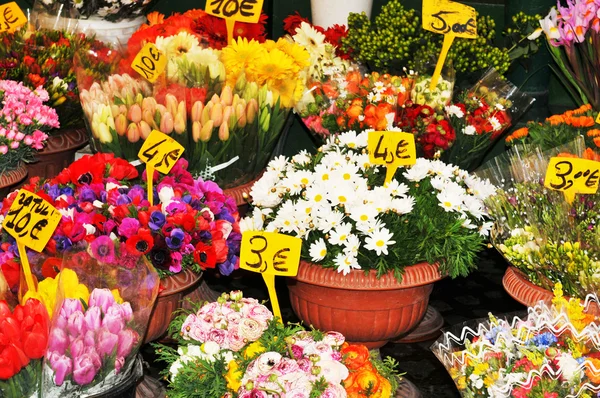 Winkel van de bloemist — Stockfoto