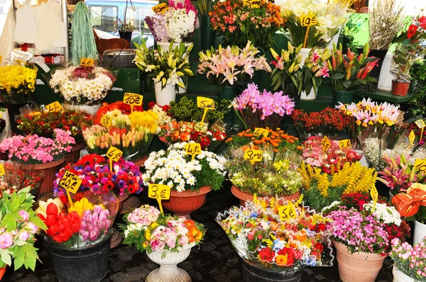 Florista loja — Fotografia de Stock