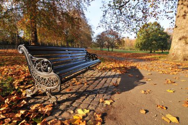 Bench in park clipart