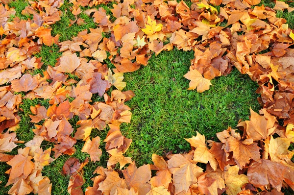 Love autumn — Stock Photo, Image