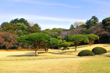 Japon Bahçesi