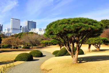 Tokyo park