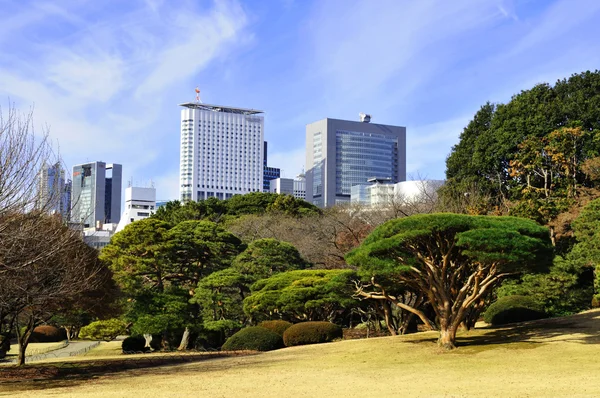 Tokio parku — Zdjęcie stockowe
