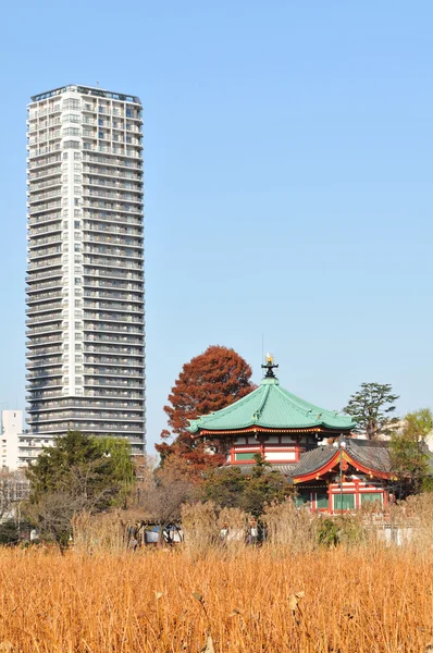 Tokyo architecture — Stock Photo, Image