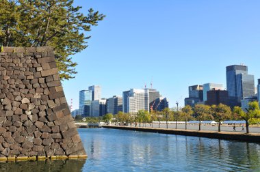 Tokyo panorama