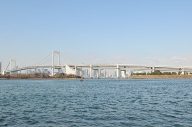 Tokyo panorama