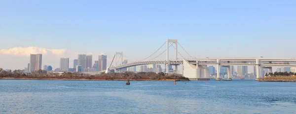 Tokyo panorama — Stock Photo, Image