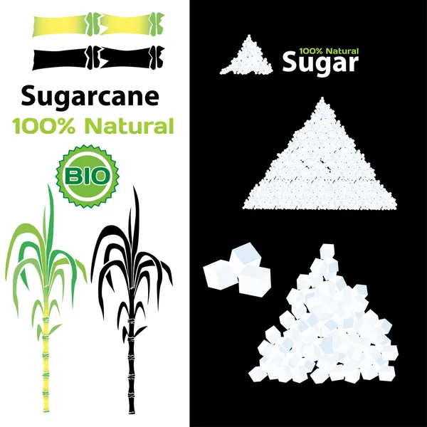 Cana de açúcar — Vetor de Stock