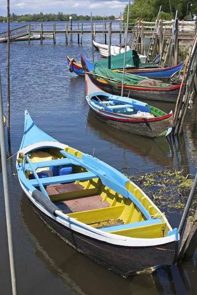 Лодки Bateira — стоковое фото