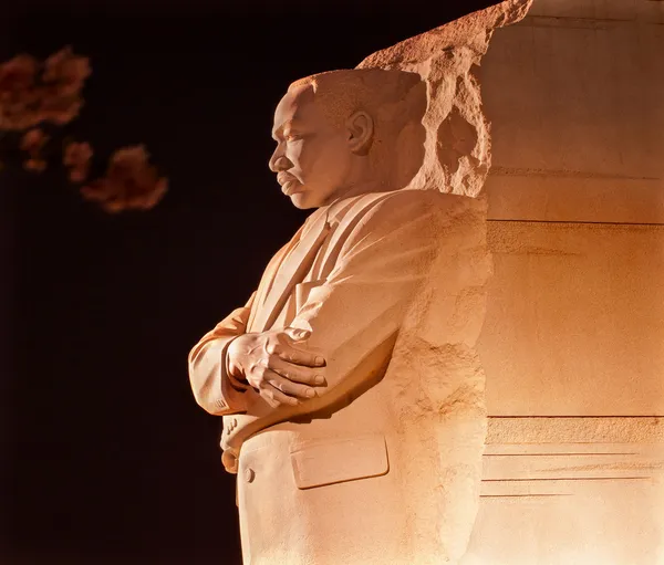 Martin Luther King Memorial cereja flores à noite Washington D — Fotografia de Stock