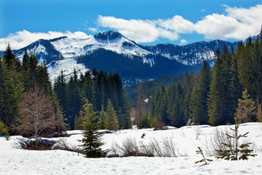 Gold Creek Mount Hyak Spring Snow Snoqualme Pass Washington clipart