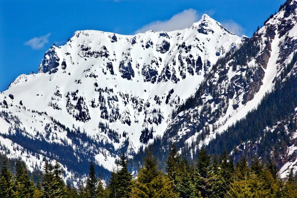 白雪皑皑的山 chikamin 峰值在 4 月 snoqualme 传递韦纳奇本土 — 图库照片
