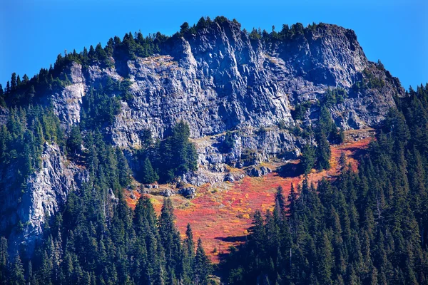 Herbstteppich lässt snoqualme pass washington — Stockfoto