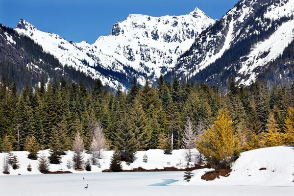 Gouden lake Lente sneeuw snoqualme pass washington — Stockfoto