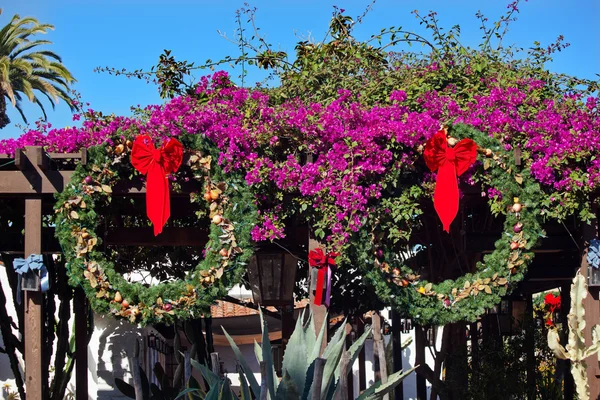 stock image Christmas Wreaths Purple Bougainvillea Cactus Garden Old San Die