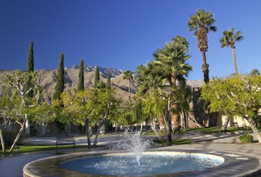 Çeşme palm springs California'da fan palms ağaçlar mavi