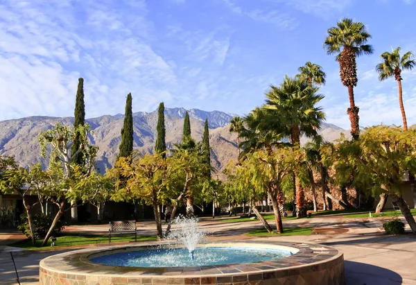 Δέντρα φοίνικες ανεμιστήρων μπλε κρήνη palm springs της Καλιφόρνια — Φωτογραφία Αρχείου