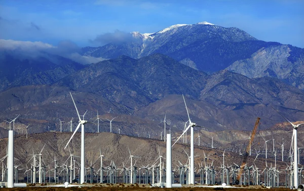 Rüzgar türbinleri coachella valley palm springs California'da — Stok fotoğraf