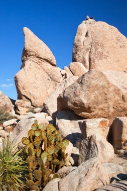 Rock Climb Hidden Valley Joshua Tree National Park California clipart