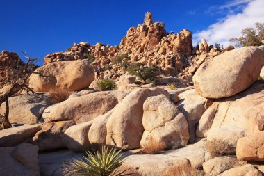 Rocks Hidden Valley Mojave Desert Joshua Tree National Park Cali clipart