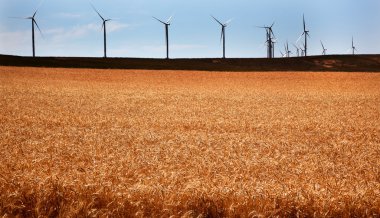 Rüzgar türbinleri wheatfields palouse washington