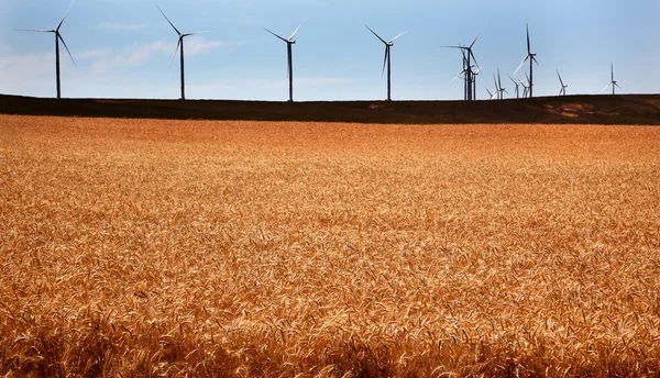 風タービン小麦パルース ワシントン — ストック写真