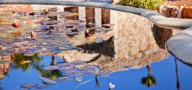 Fountain Pool Reflection Abstract Mission San Juan Capistrano Ch clipart