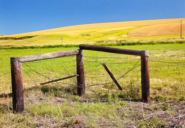 stock image Green Yellow Wheat Grass Fence Blue Skies Palouse Washington Sta