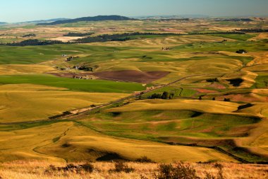 Red Farms Yellow Green Wheat Fields and Farms from Steptoe Butte clipart