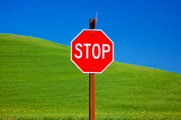 stock image Red Stop Sign Green Wheat Grass Blue Skies Palouse Washington St