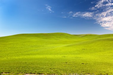 Yeşil buğday çimen mavi gökyüzü palouse washington Eyaleti