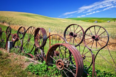 Steel Wheel Fence Green Wheat Grass Blue Skies Palouse Washingto clipart