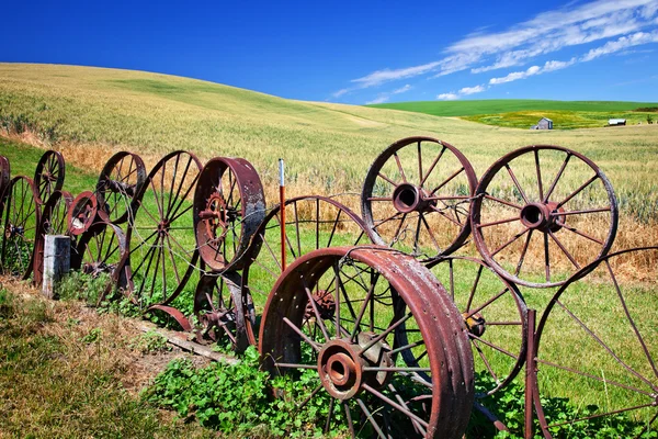 Ocelové kolo plot zelená pšenice tráva modrá obloha palouse washingto — Stock fotografie