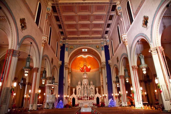 Cristo Pantocrátor Interior San Pedro Pablo Iglesia Católica — Foto de Stock