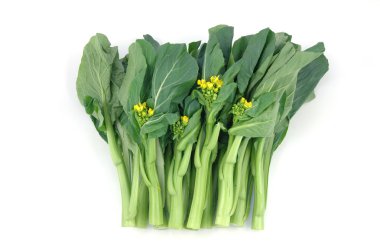 Chinese vegetable: Choy sum clipart