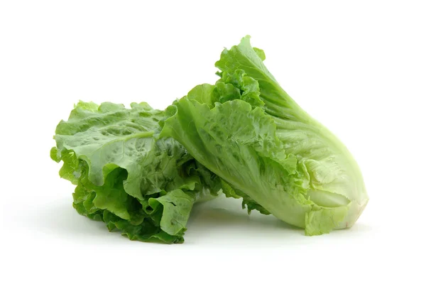 Chinese lettuce — Stock Photo, Image