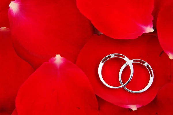 Обручальные кольца из красных лепестков роз — стоковое фото